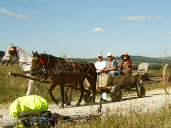 273 OKOLICE  SASAUSI